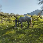 Fattoria F.lli Marsolo Farma *