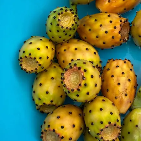 مزرعة للإقامة Fattoria F.lli Marsolo Chiusa Sclafani