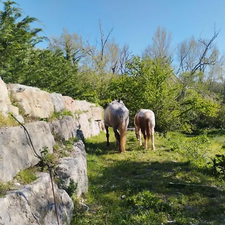 Fattoria F.lli Marsolo Farma Chiusa Sclafani